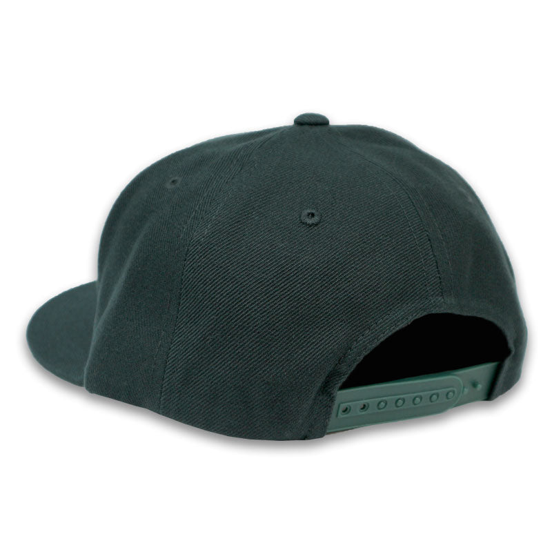 "NEW ICON" SNAP BACK CAP